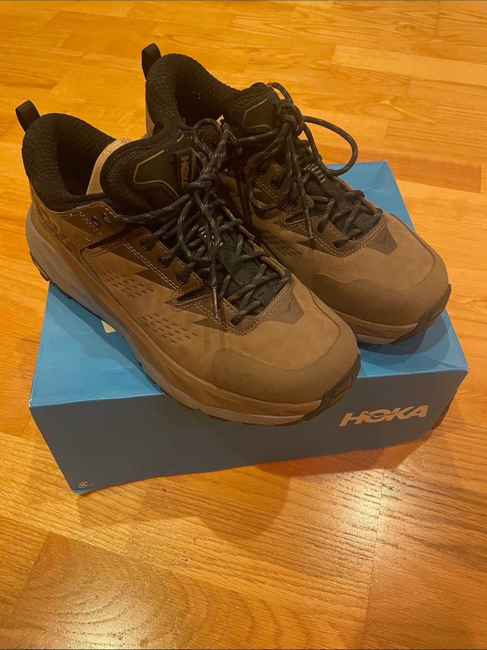 Hoka Men's Brown and Black Trail Running Shoes